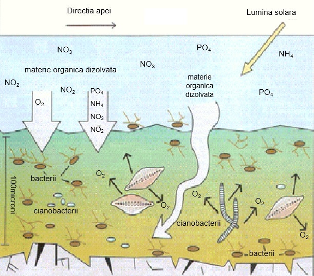 legionella