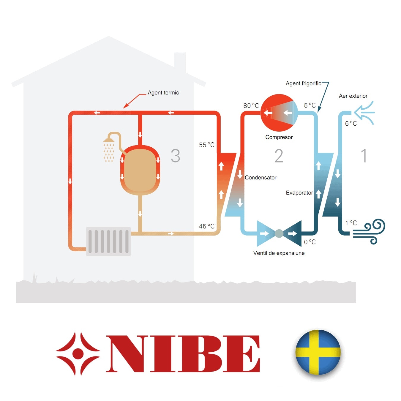 Cafenea închide Ziua Profesorului principiu functionare pompa de